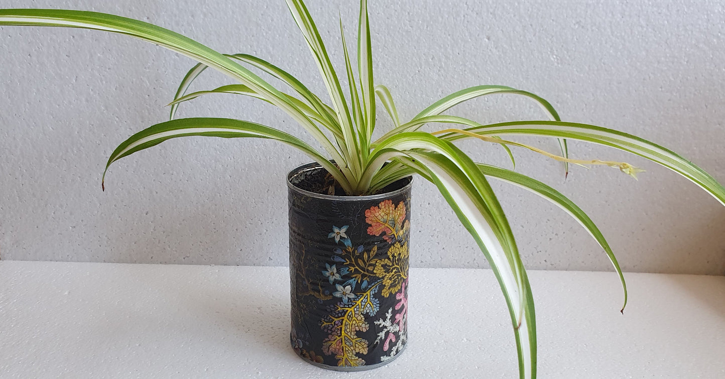 Upcycle Tin Can Desk Tidy Planter Autumn Barn Owl Pattern Decoupage Hand Decorated Home Decor Gift