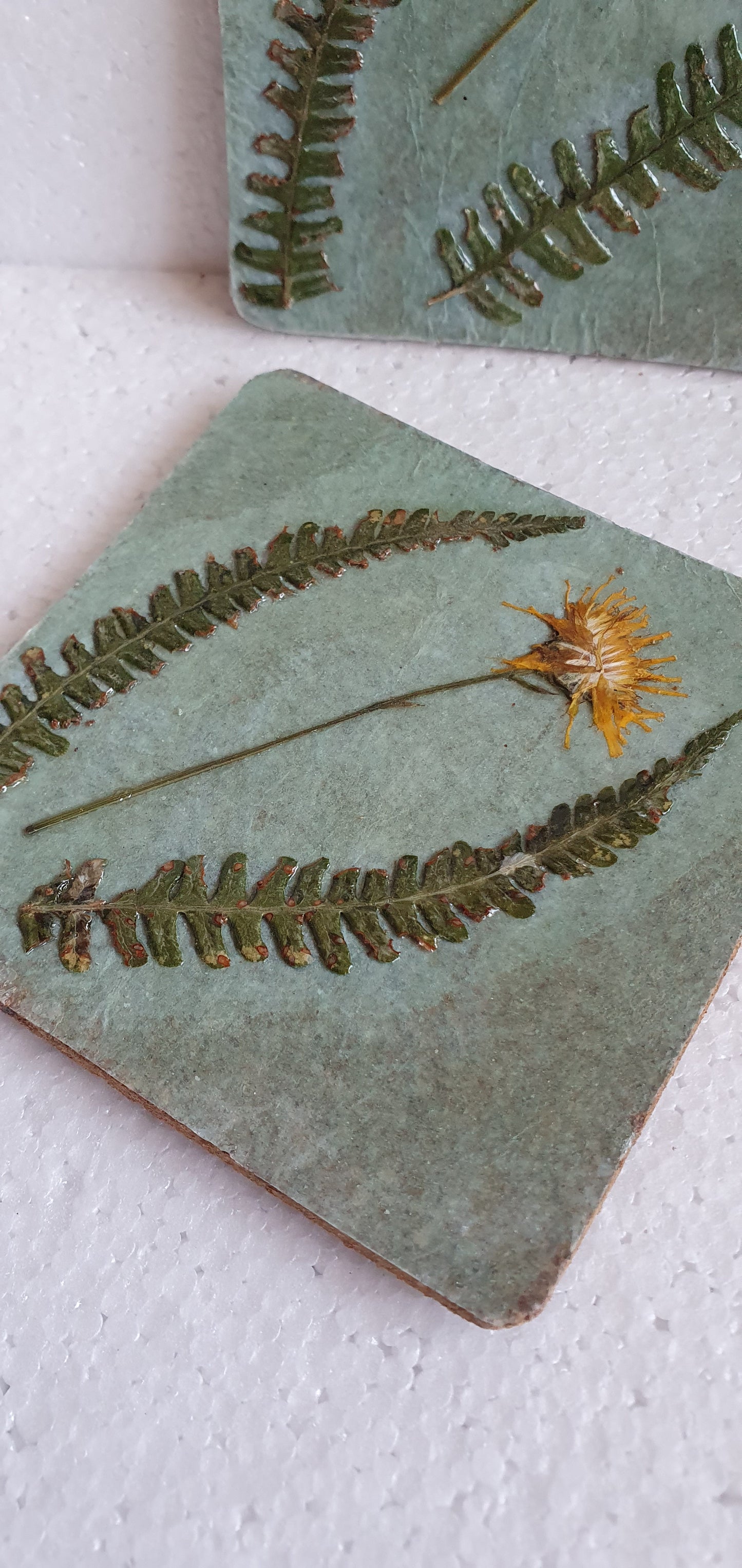 Green Pressed Leaves Wild Flowers Decoupage Coasters Set Of Four Home Decor Gift